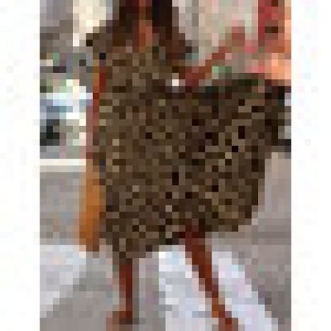 Leopard print v-neck women casual long maxi dress Sal