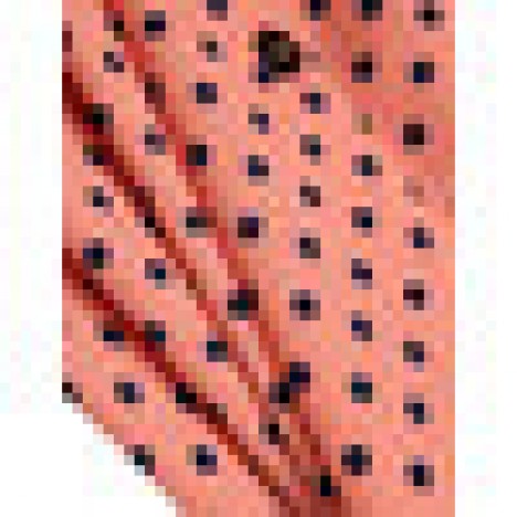 Polka dot ruffles trim button long sleeve bohemian shirt maxi dress for women Sal