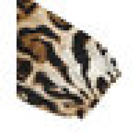 Women leopard print elastic cuffs o-neck long sleeve casual muslim maxi dress Sal