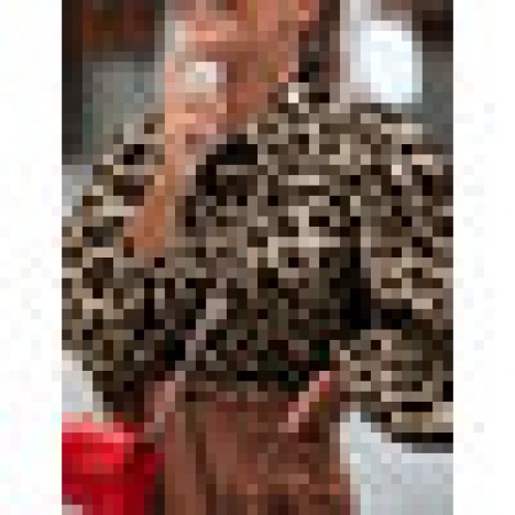 Leopard print lantern sleeve lapel button stylish casual blouse for women Sal